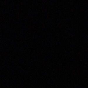 Meet your Posher, Bianca